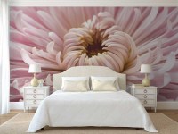 Fotobehang slaapkamer Close-up roze chrysant_320397882_ds